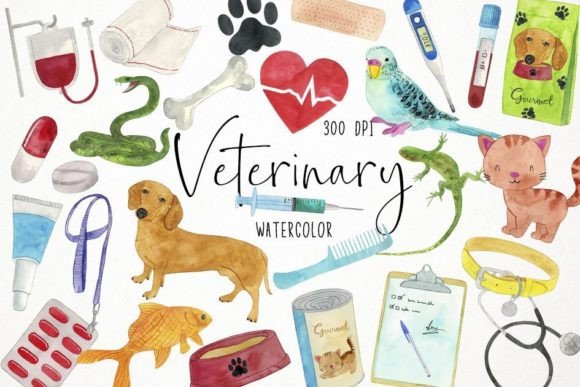 Download Watercolor Veterinary Clipart, Vet - Color Collection