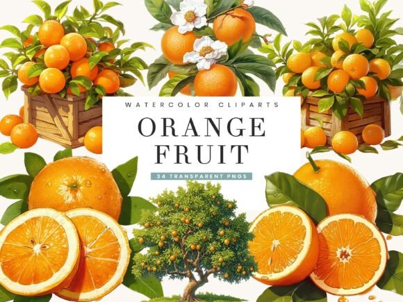 Download Watercolor Italy Orange Fruit Clipart - Color Collection